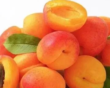 孕妇可以吃杏吗