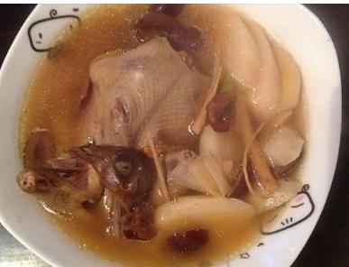 鸽子怎么炖有营养