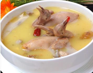 鸽子怎么炖有营养