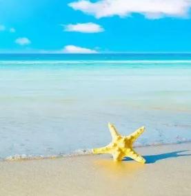 改变运气的微信头像图片