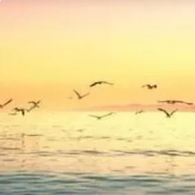 改变运气的微信头像图片