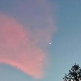 改变运气的微信头像图片