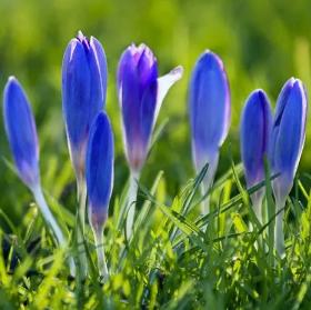 改变运气的微信头像图片