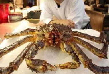 十大恐怖海洋生物