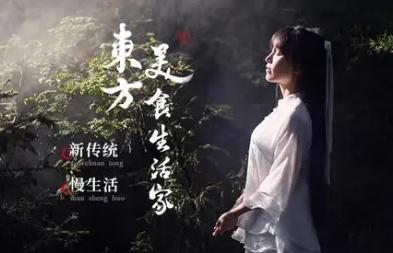 微念向子柒文化转让李子柒商标事件始末