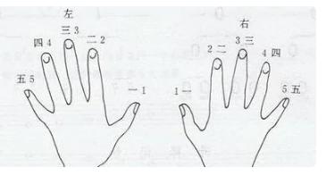 初学钢琴指法图解