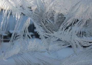 冰箱里冷藏室结冰是怎么回事