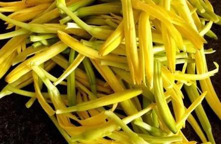 黄花菜有没有毒