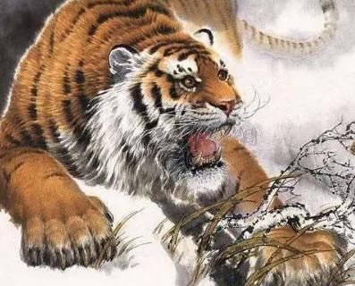 猛虎下山的寓意和象征