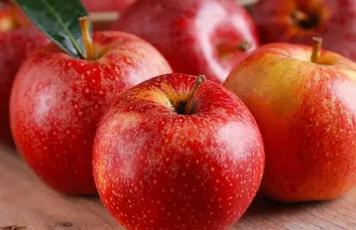 苹果在什么时候吃最好