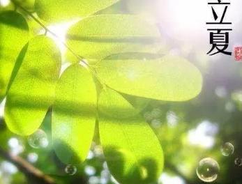 关于立夏的古诗有哪些