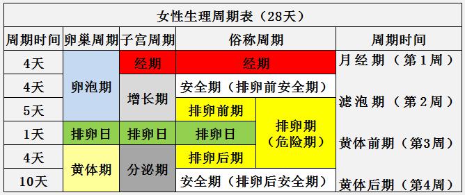 生理排卵期的周期表