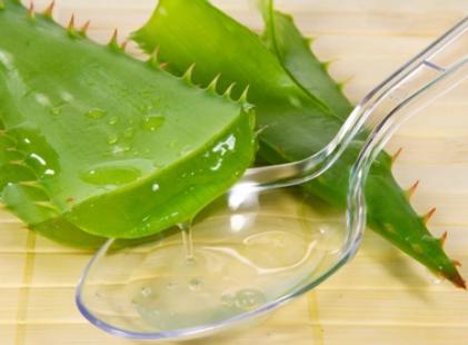 芦荟的美容功效