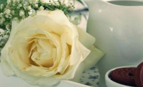 送36朵玫瑰花代表什么