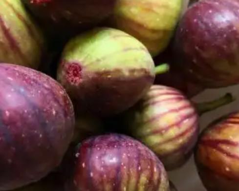 无花果应该怎么吃