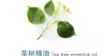 陶瓷杯子茶渍去除小窍门