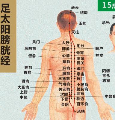 全身经络按摩的顺序