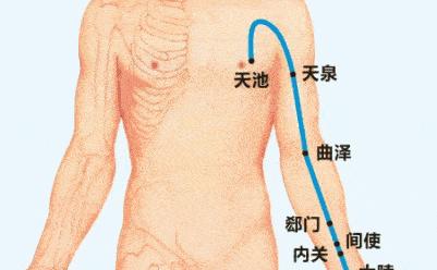 全身经络按摩的顺序