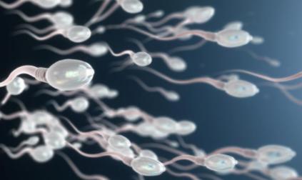 精子成活率低该怎么办