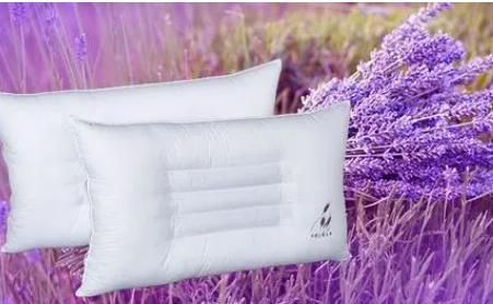 薰衣草做枕头的坏处