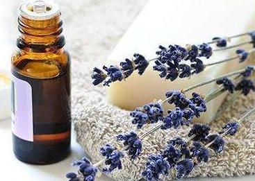 薰衣草精油去疤痕真的有效吗