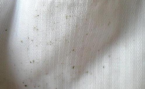 衣服去霉斑妙招12种方法