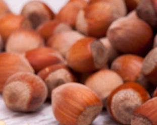 榛子的功效与作用、禁忌和食用方法