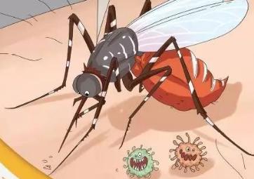 登革热有哪些症状