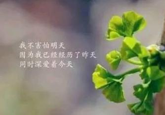 心灵感悟的句子