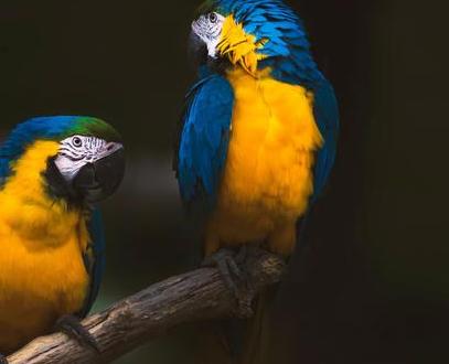 回话的技术经典语录