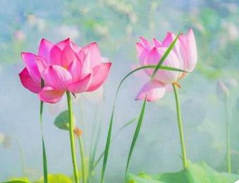 一生最吉利旺财的微信名字