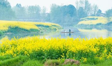 赞美春花的诗句