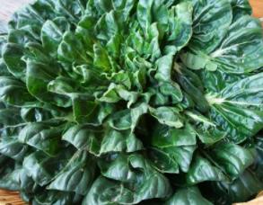 如何护肝养肝10个方法教会你