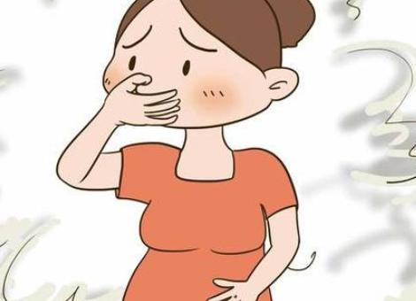 怀孕前三个月会有哪些症状