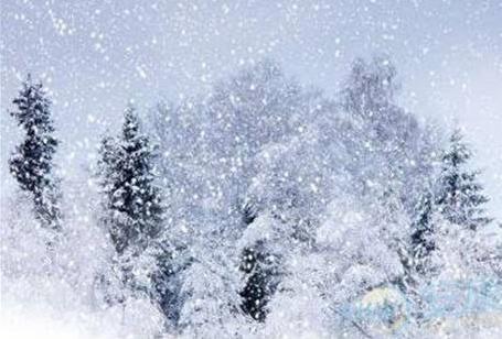 2021年下雪发朋友圈的唯美短句