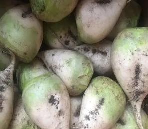 大头菜的营养价值及食用功效