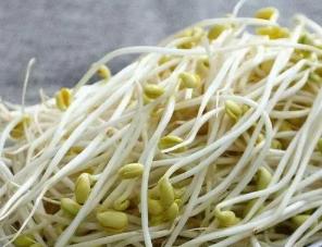 黄豆芽营养价值和功效作用