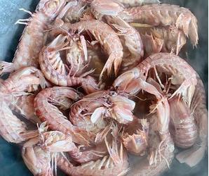 皮皮虾的家常做法大全