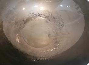 皮皮虾的家常做法大全