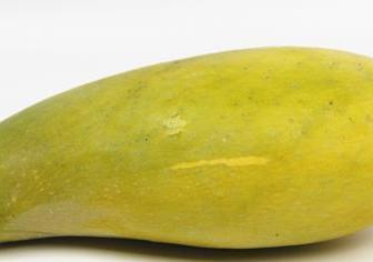 芒果适合放冰箱冷藏吗