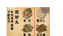 三妙丸和四妙丸的功效与作用