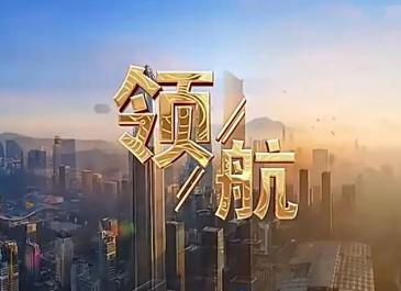 领航纪录片完整版