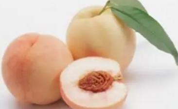 孕妇能吃桃子么