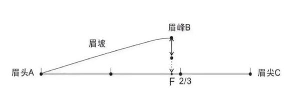 纸上眉毛教画一步一步标准眉