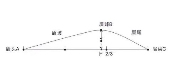 纸上眉毛教画一步一步标准眉