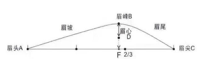 纸上眉毛教画一步一步标准眉
