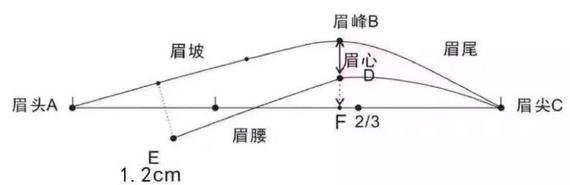 纸上眉毛教画一步一步标准眉