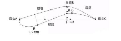 纸上眉毛教画一步一步标准眉