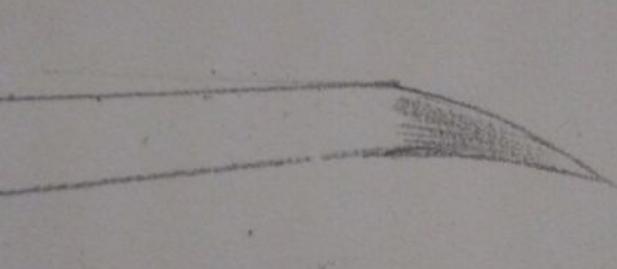 纸上眉毛教画一步一步标准眉