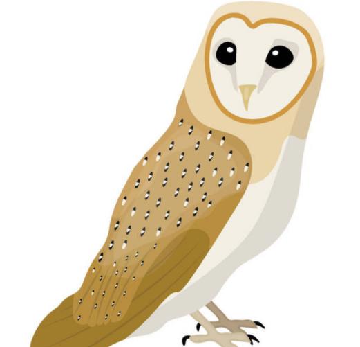 一棵苹果树的经历童话故事